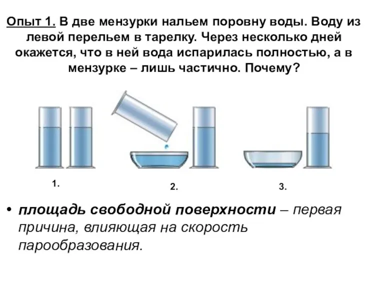 Опыт 1. В две мензурки нальем поровну воды. Воду из левой перельем