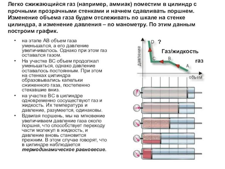 Легко сжижающийся газ (например, аммиак) поместим в цилиндр с прочными прозрачными стенками