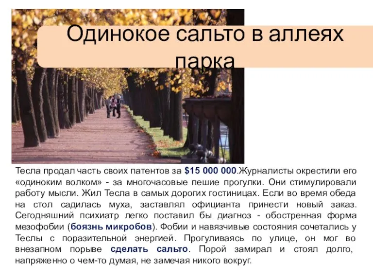 Одинокое сальто в аллеях парка Тесла продал часть своих патентов за $15