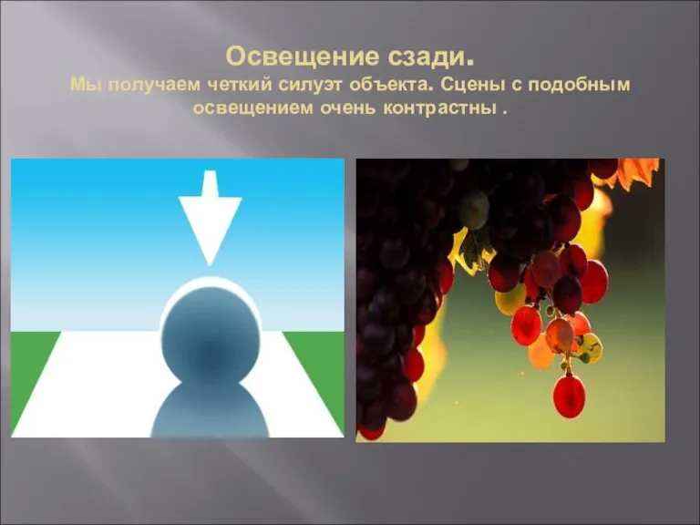 Освещение сзади. Мы получаем четкий силуэт объекта. Сцены с подобным освещением очень контрастны .