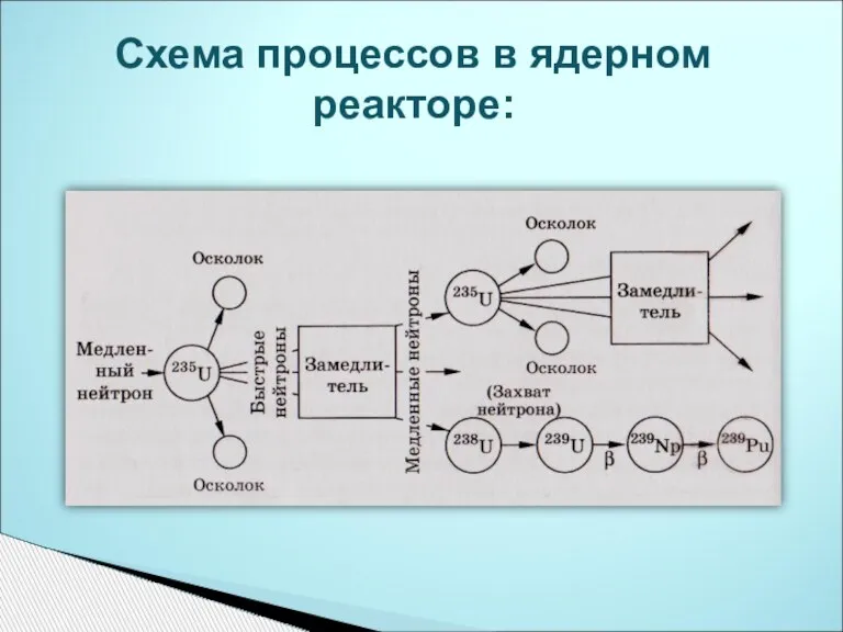 Схема процессов в ядерном реакторе: