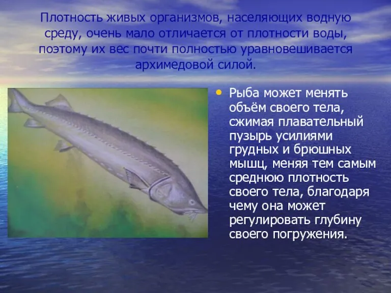 Плотность живых организмов, населяющих водную среду, очень мало отличается от плотности воды,