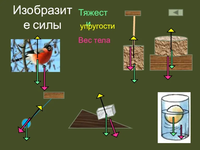 Изобразите силы Тяжести упругости Вес тела