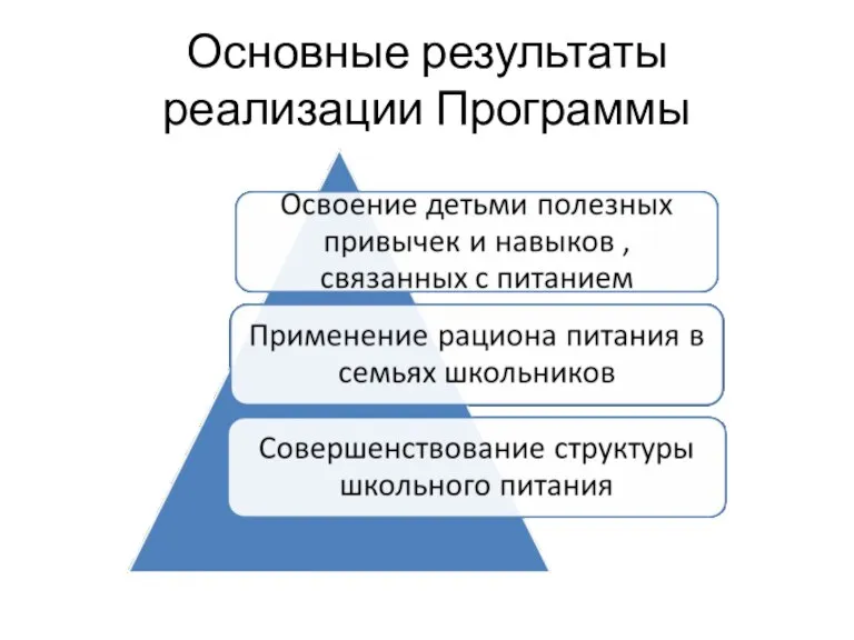 Основные результаты реализации Программы