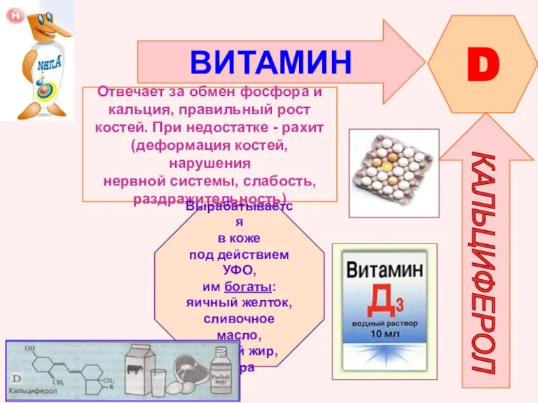 ВИТАМИН D КАЛЬЦИФЕРОЛ Отвечает за обмен фосфора и кальция, правильный рост костей.