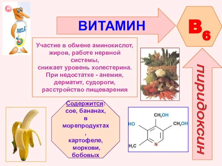 ВИТАМИН B6 пиридоксин Участие в обмене аминокислот, жиров, работе нервной системы, снижает