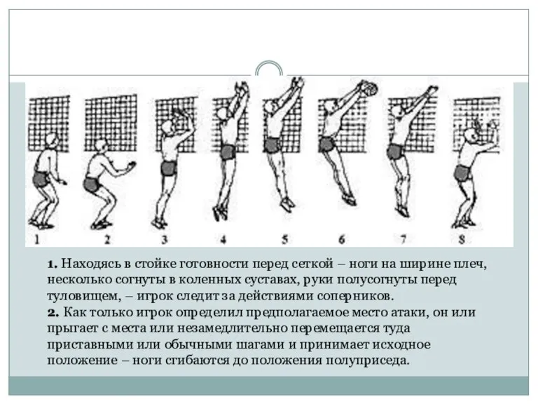 1. Находясь в стойке готовности перед сеткой – ноги на ширине плеч,