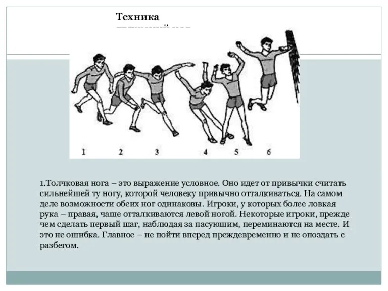 Техника движений ног 1.Толчковая нога – это выражение условное. Оно идет от