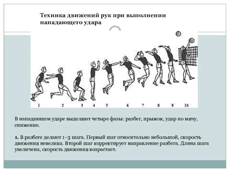 Техника движений рук при выполнении нападающего удара В нападающем ударе выделяют четыре