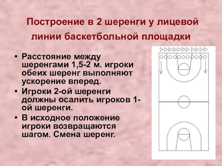 Построение в 2 шеренги у лицевой линии баскетбольной площадки Расстояние между шеренгами