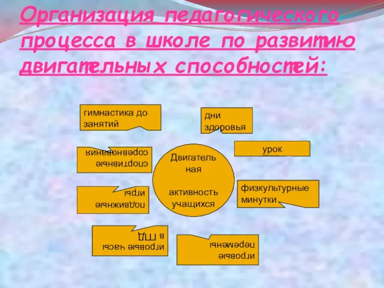 Организация педагогического процесса в школе по развитию двигательных способностей: Двигательная активность учащихся