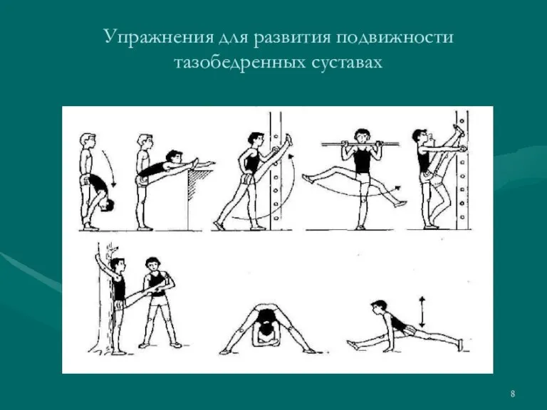 Упражнения для развития подвижности тазобедренных суставах