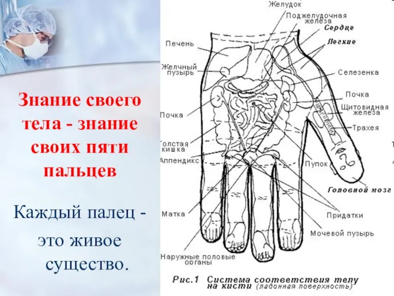 Знание своего тела - знание своих пяти пальцев Каждый палец - это живое существо.