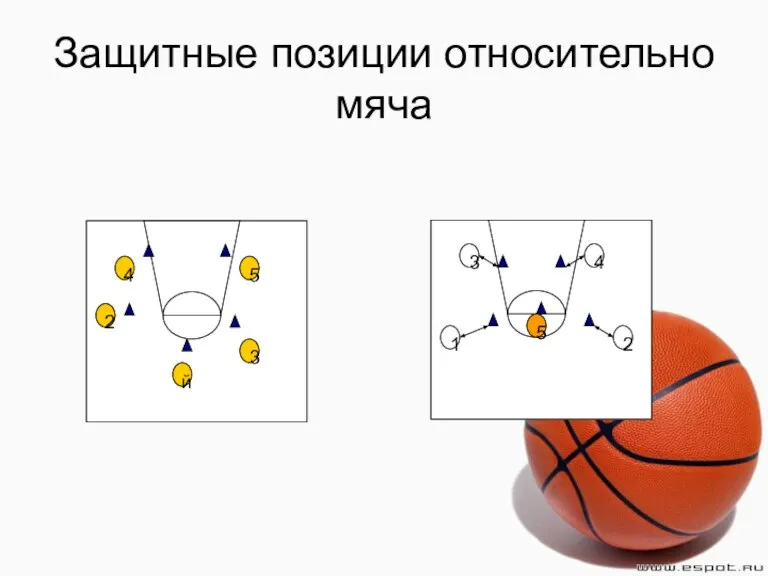 Защитные позиции относительно мяча