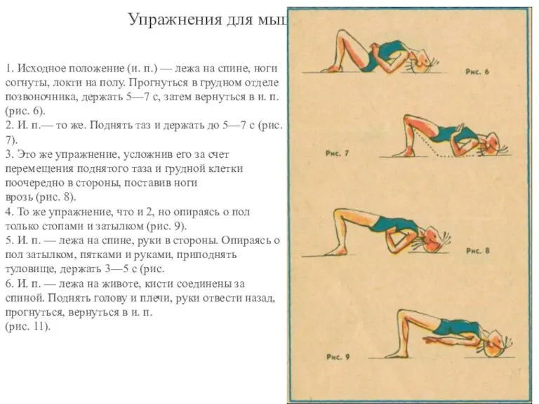 Упражнения для мышц спины 1. Исходное положение (и. п.) — лежа на