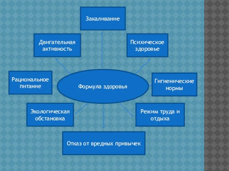 Формула здоровья Двигательная активность Закаливание Психическое здоровье Гигиенические нормы Рациональное питание Экологическая