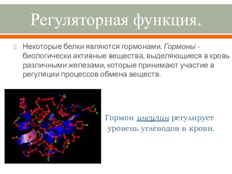 Регуляторная функция. Некоторые белки являются гормонами. Гормоны - биологически активные вещества, выделяющиеся