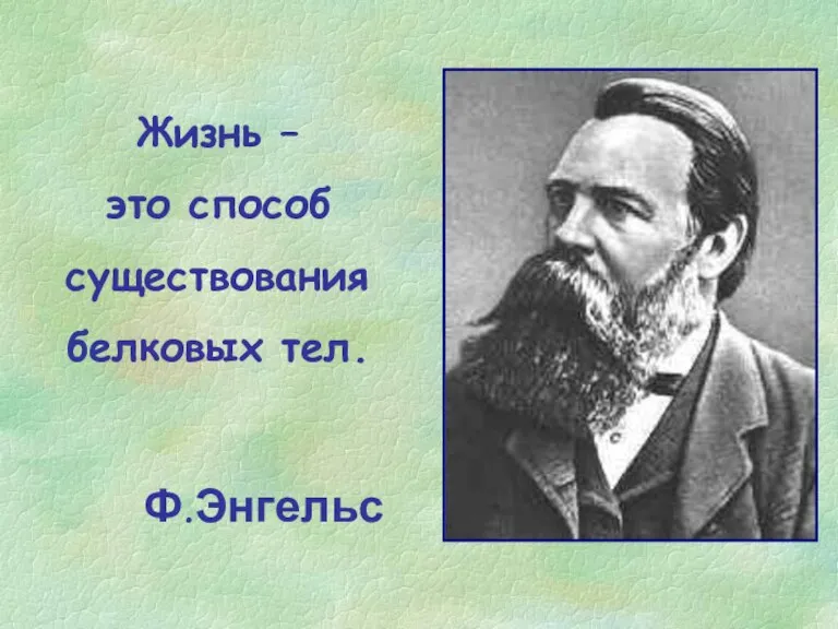 Жизнь – это способ существования белковых тел. Ф.Энгельс