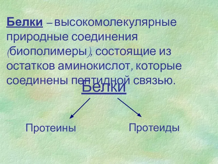 Белки – высокомолекулярные природные соединения (биополимеры), состоящие из остатков аминокислот, которые соединены