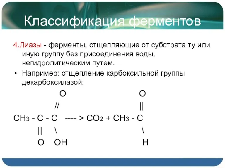 Классификация ферментов 4.Лиазы - ферменты, отщепляющие от субстрата ту или иную группу