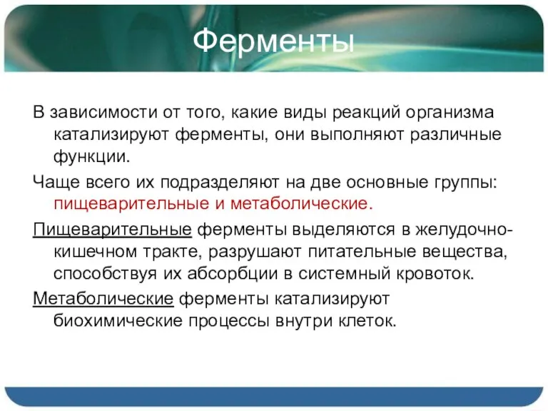 Ферменты В зависимости от того, какие виды реакций организма катализируют ферменты, они