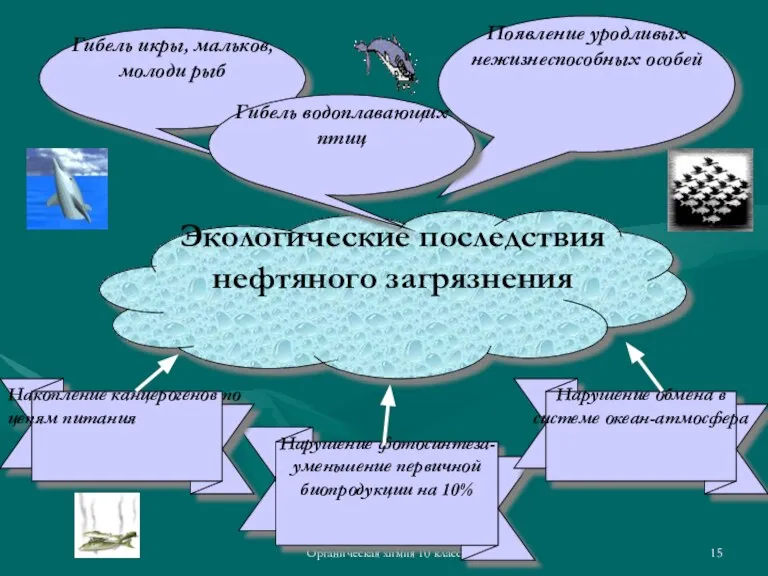 Органическая химия 10 класс Гибель икры, мальков, молоди рыб Экологические последствия нефтяного