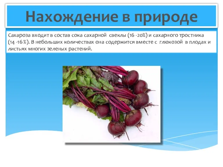 Нахождение в природе Сахароза входит в состав сока сахарной свеклы (16 -20%)