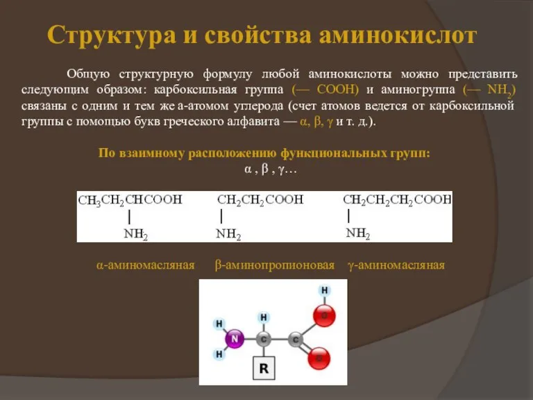 Структура и свойства аминокислот Общую структурную формулу любой аминокислоты можно представить следующим