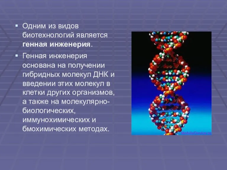 Одним из видов биотехнологий является генная инженерия. Генная инженерия основана на получении