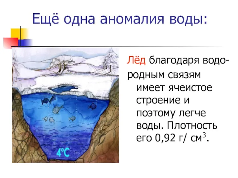 Ещё одна аномалия воды: Лёд благодаря водо- родным связям имеет ячеистое строение