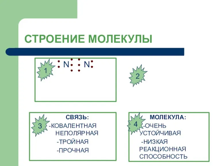 СТРОЕНИЕ МОЛЕКУЛЫ N N СВЯЗЬ: -КОВАЛЕНТНАЯ НЕПОЛЯРНАЯ -ТРОЙНАЯ -ПРОЧНАЯ МОЛЕКУЛА: -ОЧЕНЬ УСТОЙЧИВАЯ