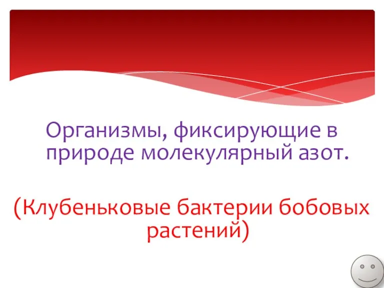 Организмы, фиксирующие в природе молекулярный азот. (Клубеньковые бактерии бобовых растений)