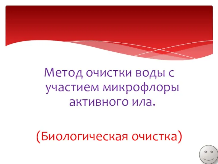 Метод очистки воды с участием микрофлоры активного ила. (Биологическая очистка)