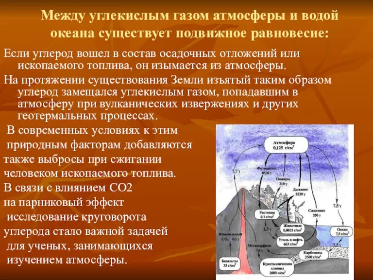 Между углекислым газом атмосферы и водой океана существует подвижное равновесие: Если углерод