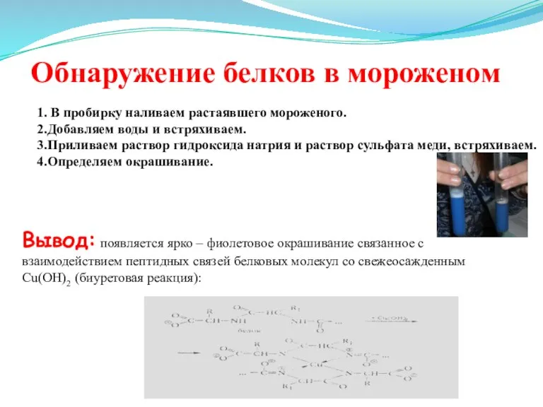 Обнаружение белков в мороженом 1. В пробирку наливаем растаявшего мороженого. 2.Добавляем воды