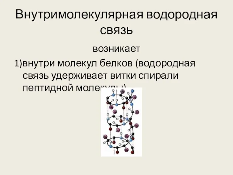 Внутримолекулярная водородная связь возникает 1)внутри молекул белков (водородная связь удерживает витки спирали пептидной молекулы)