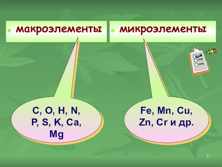 макроэлементы микроэлементы Fe, Mn, Cu, Zn, Cr и др. C, O, H,