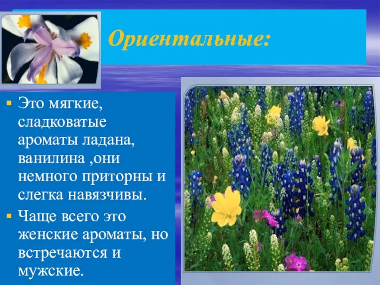 Ориентальные: Это мягкие, сладковатые ароматы ладана, ванилина ,они немного приторны и слегка