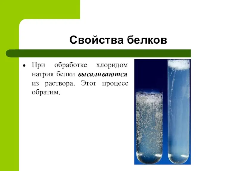 Свойства белков При обработке хлоридом натрия белки высаливаются из раствора. Этот процесс обратим.