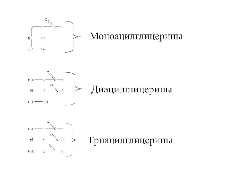 Триацилглицерины Диацилглицерины Моноацилглицерины