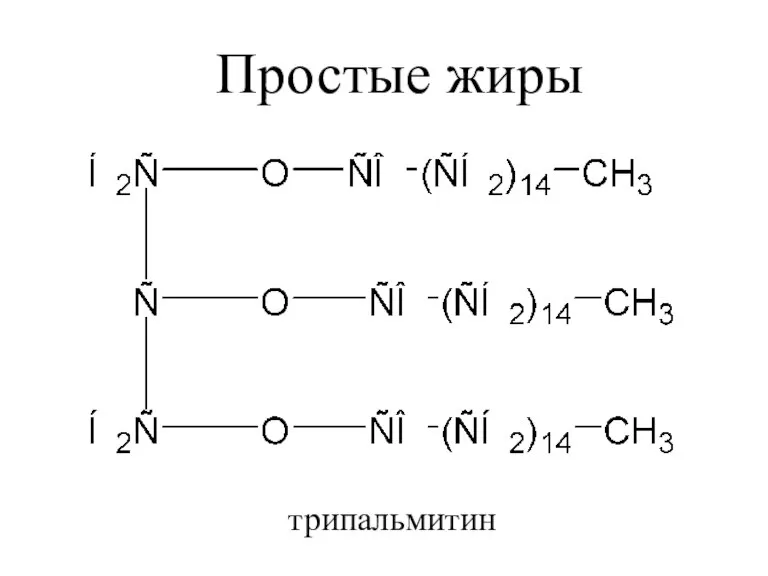 трипальмитин Простые жиры