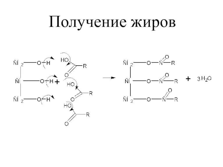 Получение жиров