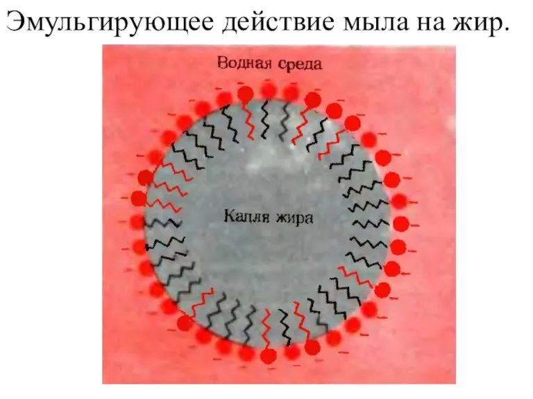 Эмульгирующее действие мыла на жир.