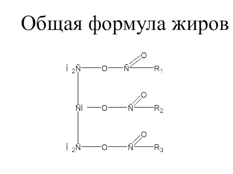 Общая формула жиров