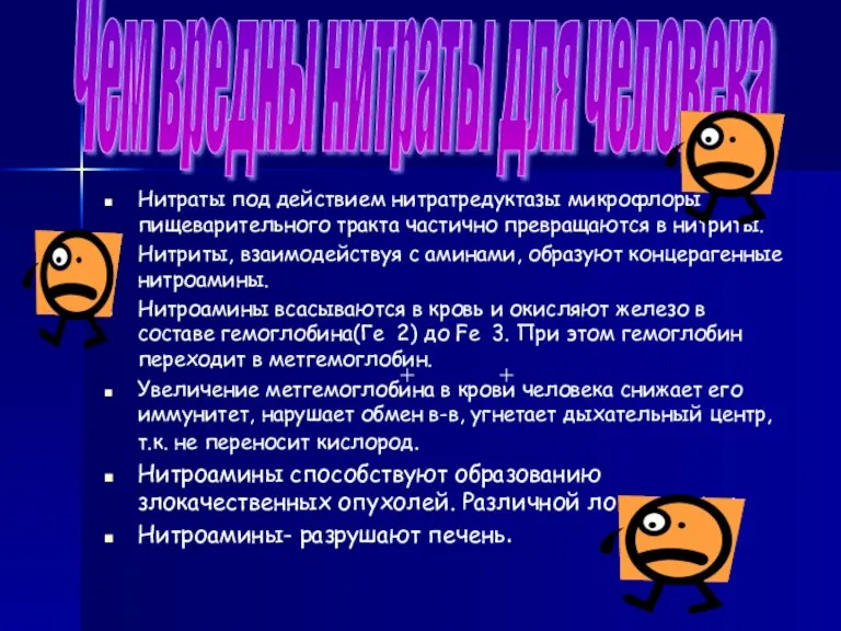 Нитраты под действием нитратредуктазы микрофлоры пищеварительного тракта частично превращаются в нитриты. Нитриты,