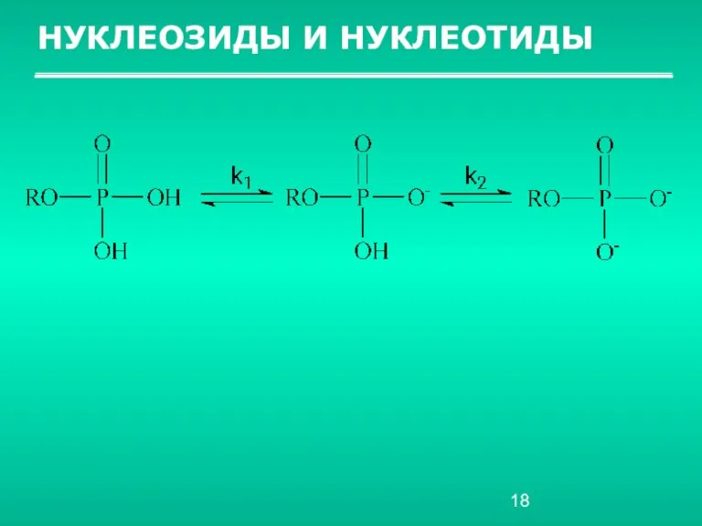 НУКЛЕОЗИДЫ И НУКЛЕОТИДЫ