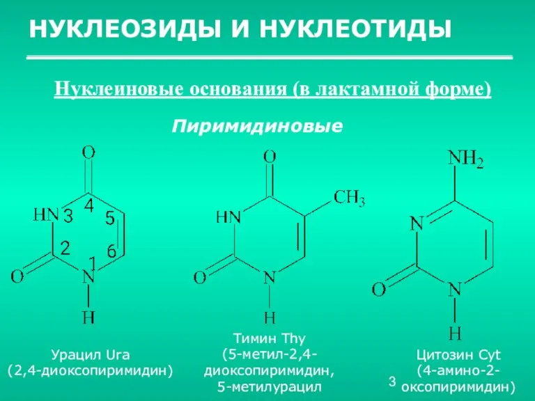 НУКЛЕОЗИДЫ И НУКЛЕОТИДЫ Нуклеиновые основания (в лактамной форме) Пиримидиновые Урацил Ura (2,4-диоксопиримидин)