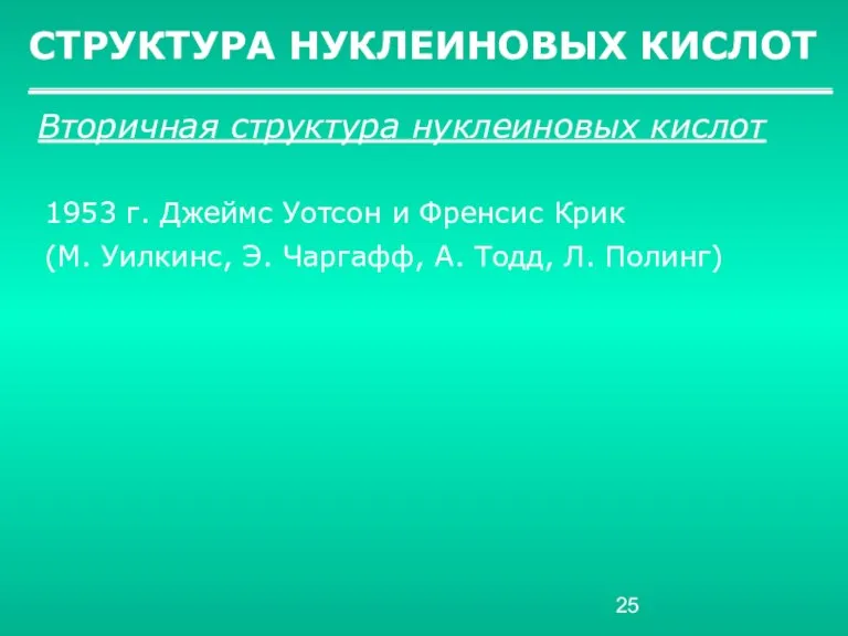 СТРУКТУРА НУКЛЕИНОВЫХ КИСЛОТ Вторичная структура нуклеиновых кислот 1953 г. Джеймс Уотсон и