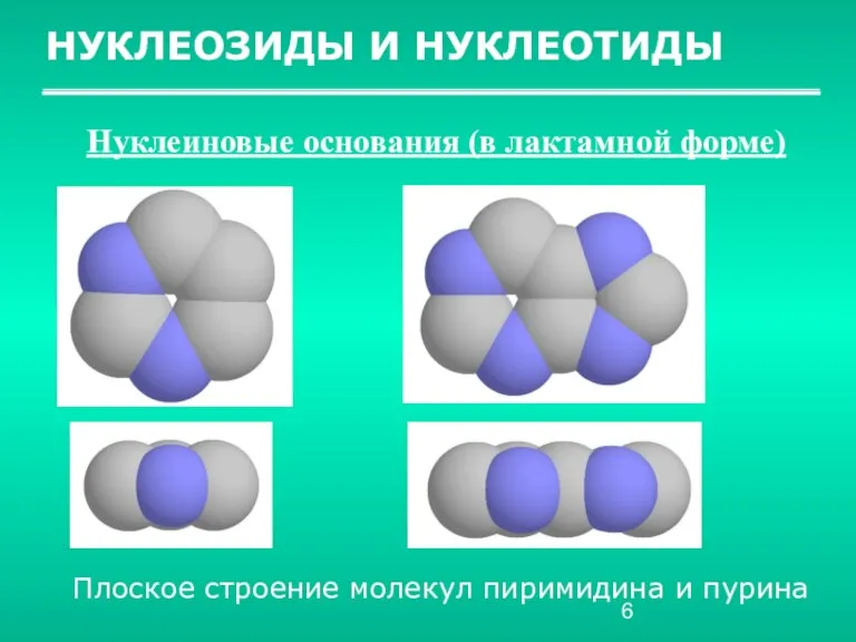 НУКЛЕОЗИДЫ И НУКЛЕОТИДЫ Нуклеиновые основания (в лактамной форме) Плоское строение молекул пиримидина и пурина