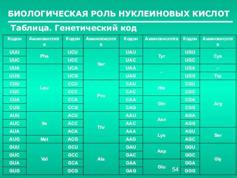 БИОЛОГИЧЕСКАЯ РОЛЬ НУКЛЕИНОВЫХ КИСЛОТ Таблица. Генетический код